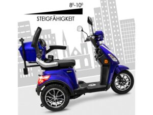 32506_e_trike25_v3_blau-amz-007-jpg