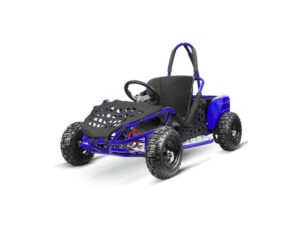 Kinderbuggy 1000W Eco Buggy GoKid 6 Zoll 48V Offroad