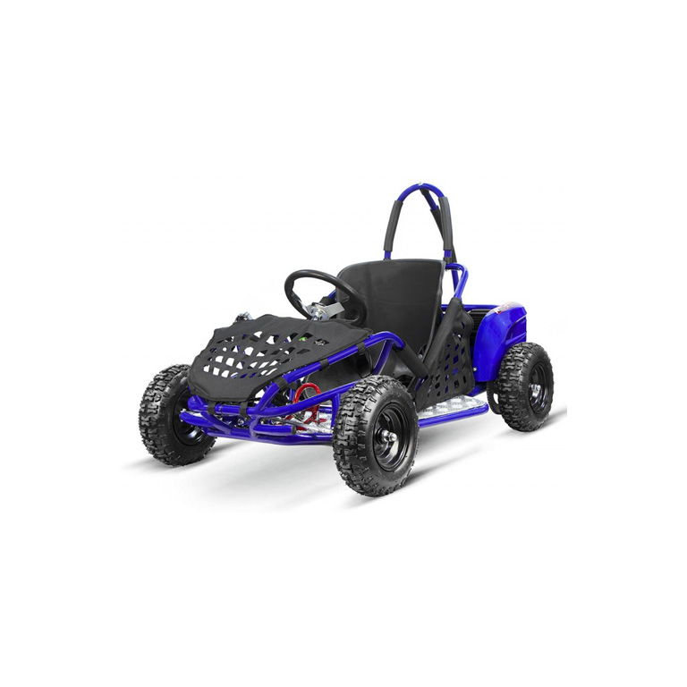 Kinderbuggy 1000W Eco Buggy GoKid 6 Zoll 48V Offroad