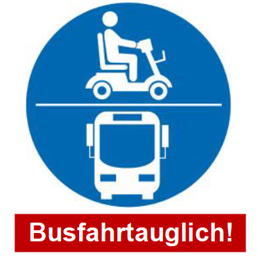 Kymco Super HMV, 6 km/h, 45 Ah, Bus und ÖPNV Elektromobil – Bild 3