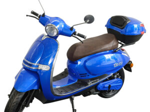 Dolphin with Rear Box-Dark Blue, Brown Saddle