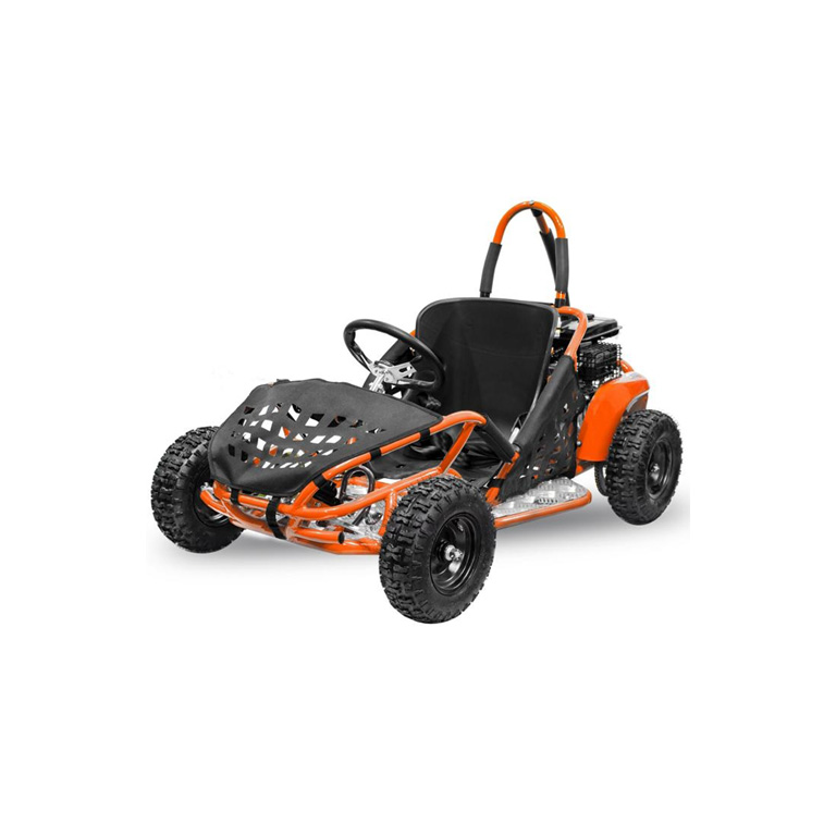 Kinder Buggy 80cc Buggy GoKid Automatik Offroad