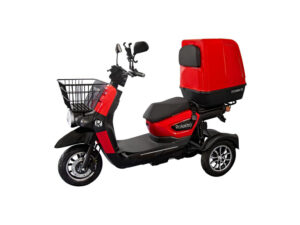 Rolektro, E-Carrier 25, Rot, mit XXL-Koffer, Bleigel Akkus, 1000 Watt