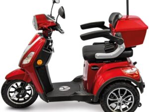 e-trike_15_rot-06-jpg