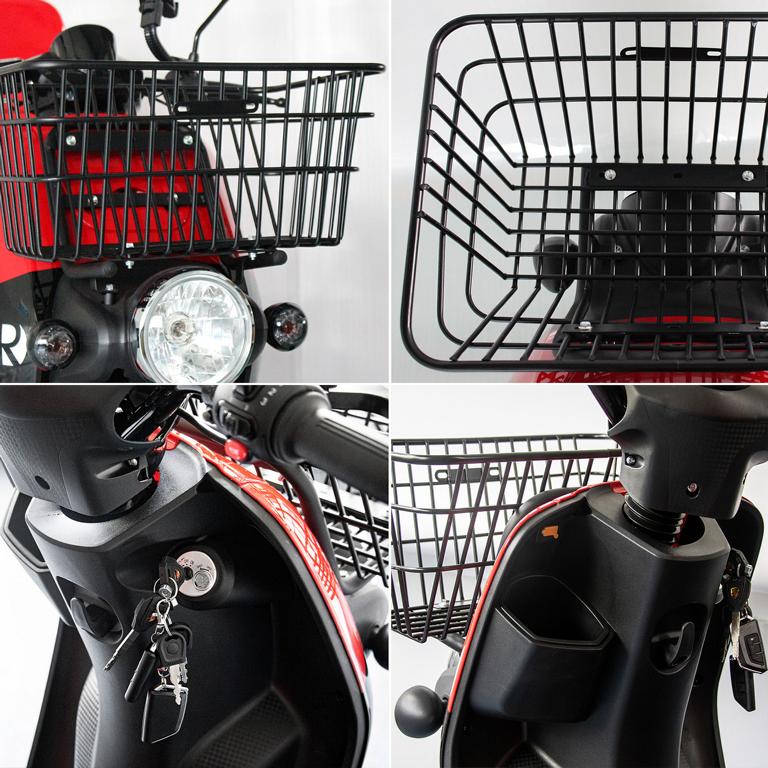 Rolektro, E-Carrier 25, Rot, mit XXL-Koffer, Bleigel Akkus, 1000 Watt – Bild 6