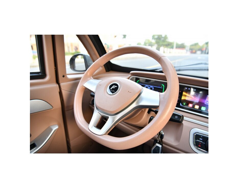 Kabinenroller 'Flow Li', 45 km/h, bis zu 140 km Reichweite, Lithium-Akku 4000 Watt – Bild 10