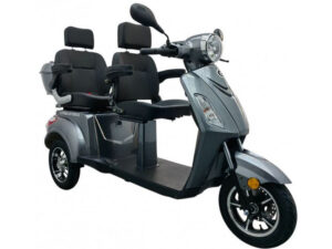 2_Elektromobil VITA CARE 2000 Li 2 Personen Lithium-Akku